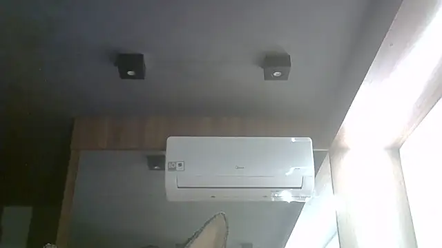 SkinnyKitten webcam