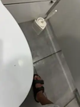 Turkishleo