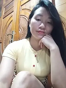 Td3di webcam