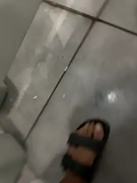 Turkishleo