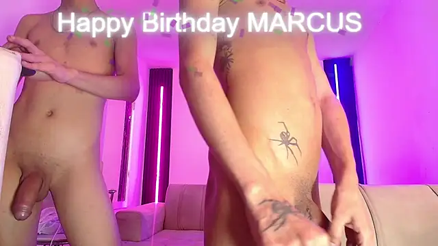 Marcus_and_Tony webcam