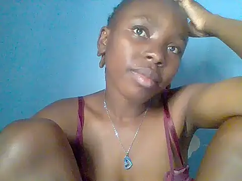 Chocolate-brownie webcam