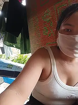 Hiha-nn webcam