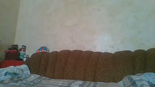 MilaSky5303 webcam