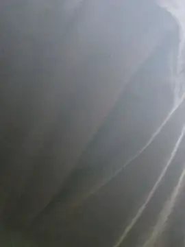 Aashikalaa live cam on StripChat