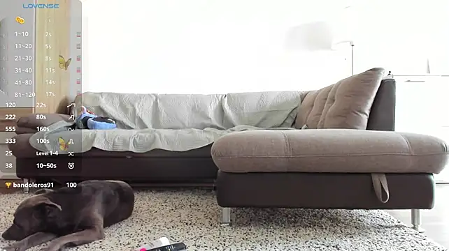Anisefoxy