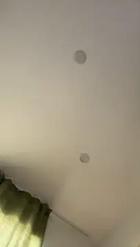 allpawgsgotoheaven live cam on StripChat