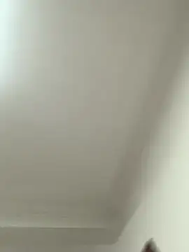 LovenseAngel webcam