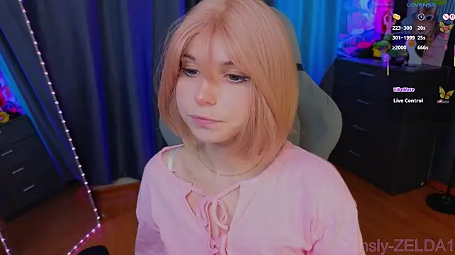 zelda_1 webcam
