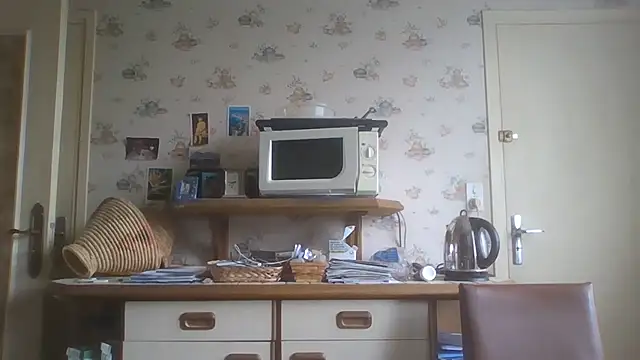 gegevincent5 webcam