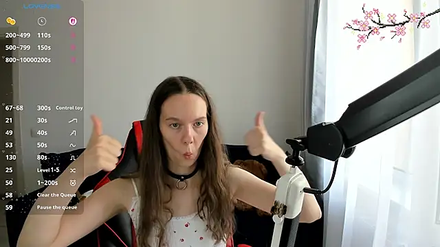 Vulgar_Tamer