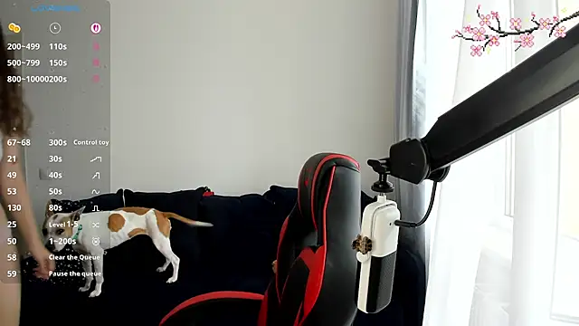 Vulgar_Tamer