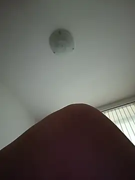 kotkite webcam