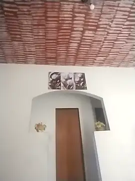 catdool