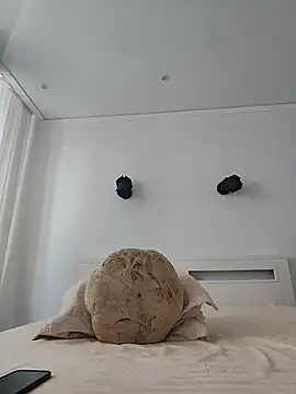 ANA_STA_S_ live webcam