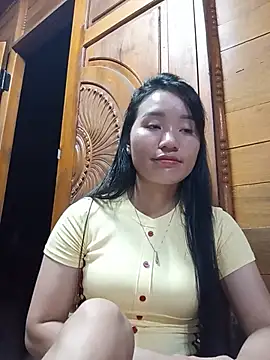 Td3di