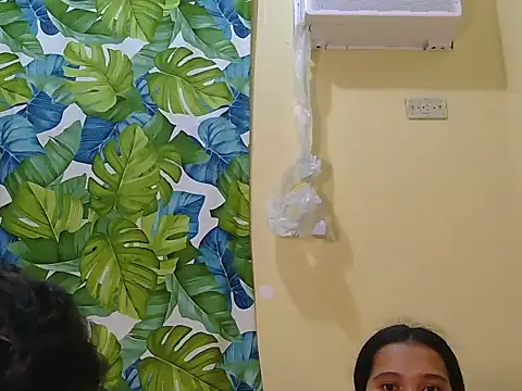 TwinityX webcam