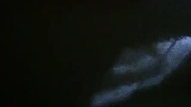 Zeelari - Trans webcam sex chat