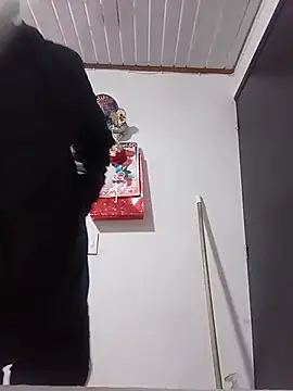 kathaardiente webcam