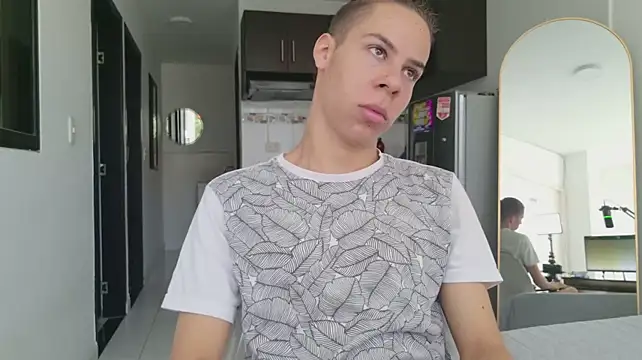 grey___27 webcam