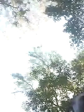 upskirt camera Lluunnaalliigghhtt