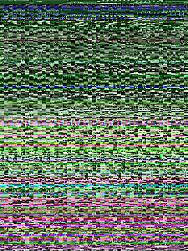 CoraVibes webcam