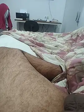 Willdpo webcam