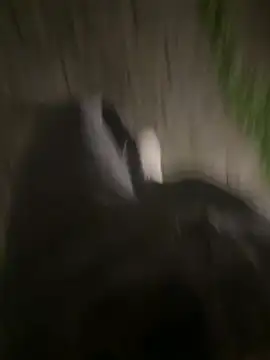 lust_guy27 (M young) - Go to washroom and jurk 😛