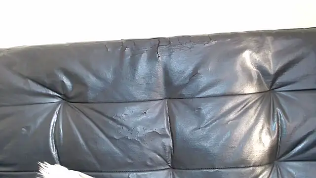 Bustypillows