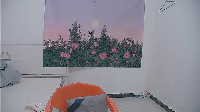 paofu-001 webcam