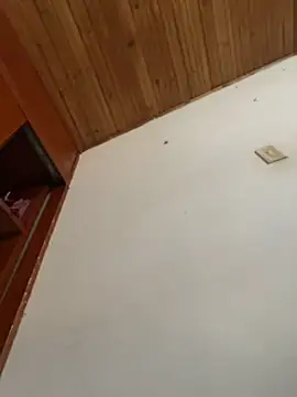 Anita_vegaa_