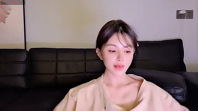 lvy-w webcam