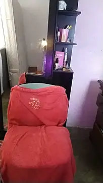 MIlan333X webcam