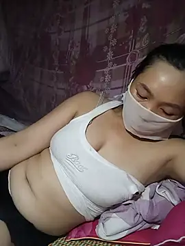 Hiha-nn webcam