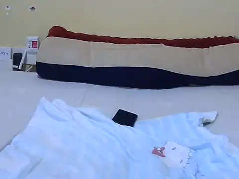 Scate webcam