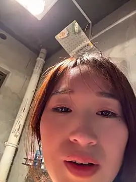 Dian-Sex live room snapshot on Stripchat