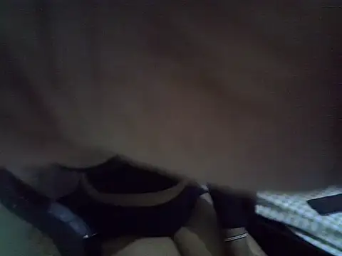 Quinlina webcam