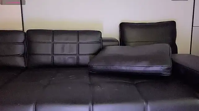 lvy-w webcam