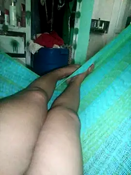 BETY2026 live webcam
