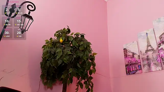 Inari_Okami_ webcam