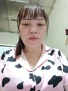 Sana-vn webcam