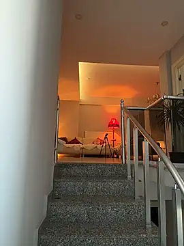 DarkDesin webcam
