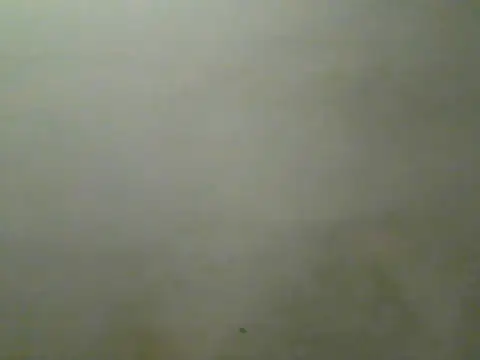 Foxboy65 webcam