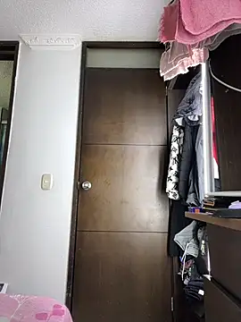 sandylau webcam