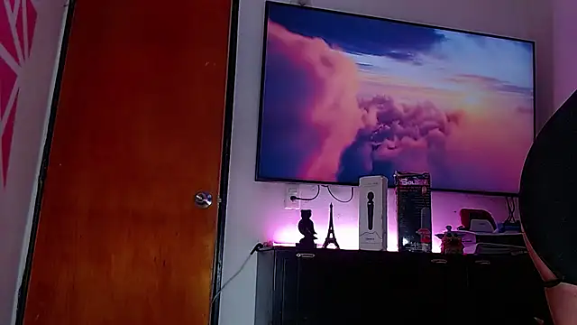 Sophia24cm webcam