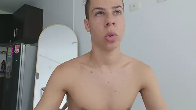 grey___27 webcam