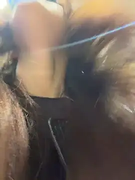 AnitaFly