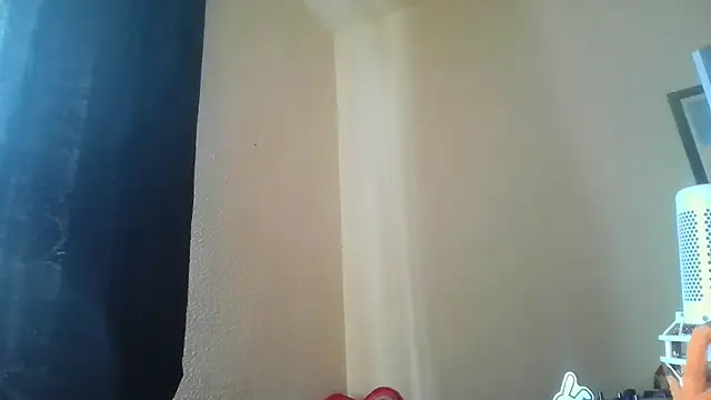 Guyst049 webcam