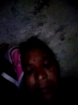 Loomaraj webcam