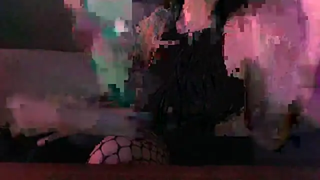 VenusX webcam